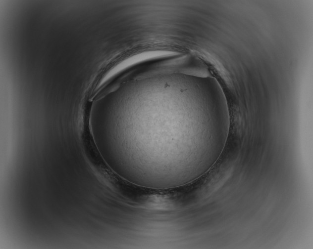 X0000093110496200710031318