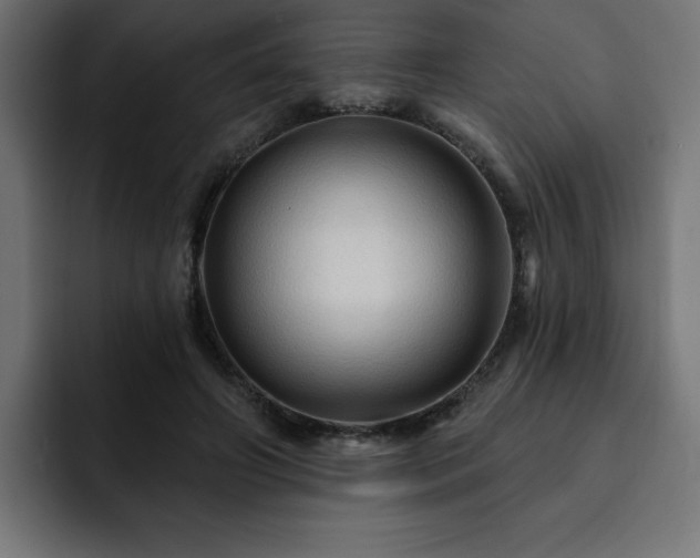 X0000093110498200710031318
