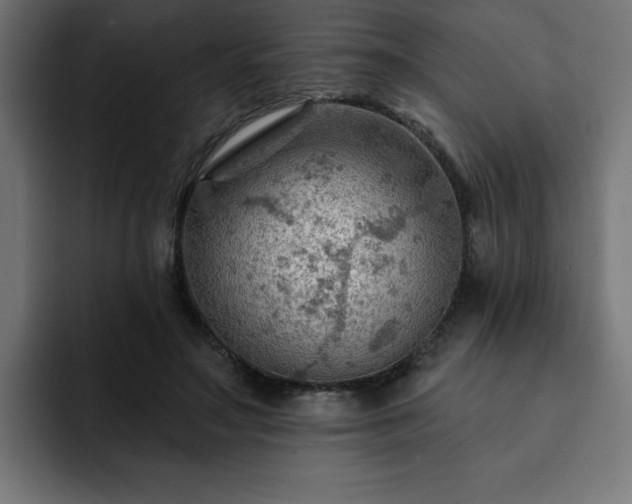 X0000093110499200710031318