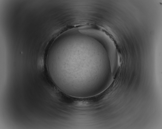 X0000093110500200710031318