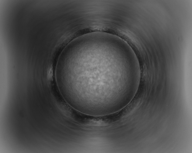 X0000093110502200710031318