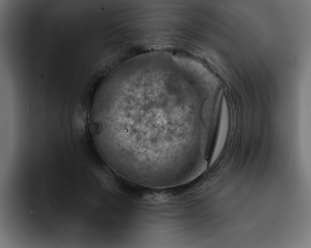 X0000093110503200710031318