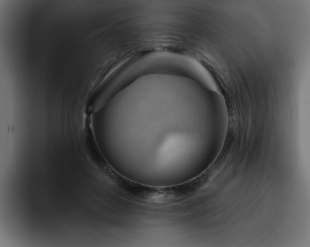X0000093110504200710031318