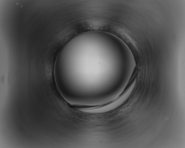 X0000093110505200710031318