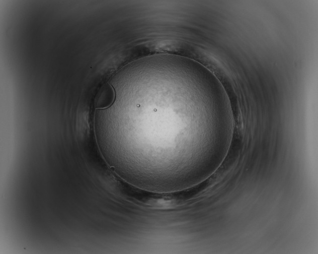 X0000093110506200710031318