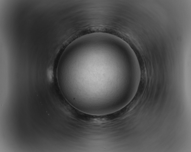 X0000093110508200710031318