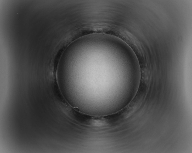 X0000093110510200710031318