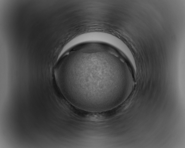 X0000093110512200710031318
