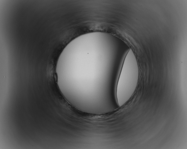 X0000093110513200710031318
