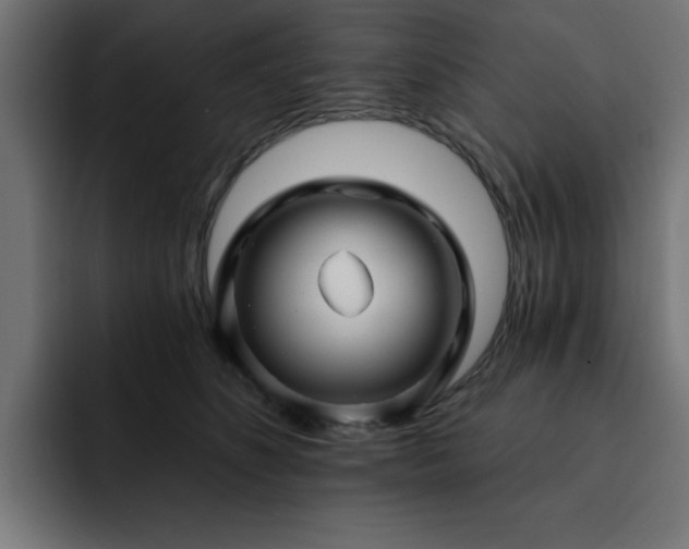 X0000093110516200710031318
