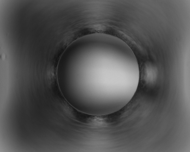 X0000093110518200710031318