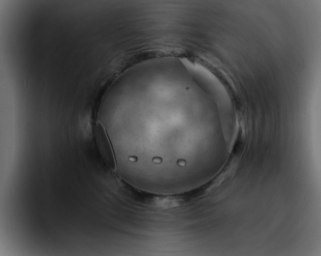 X0000093110520200710031318