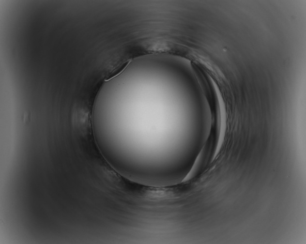 X0000093110521200710031318
