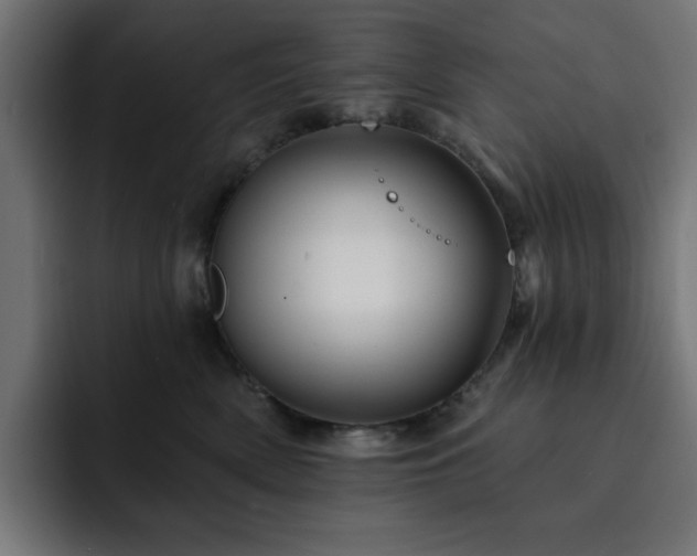 X0000093110522200710031318