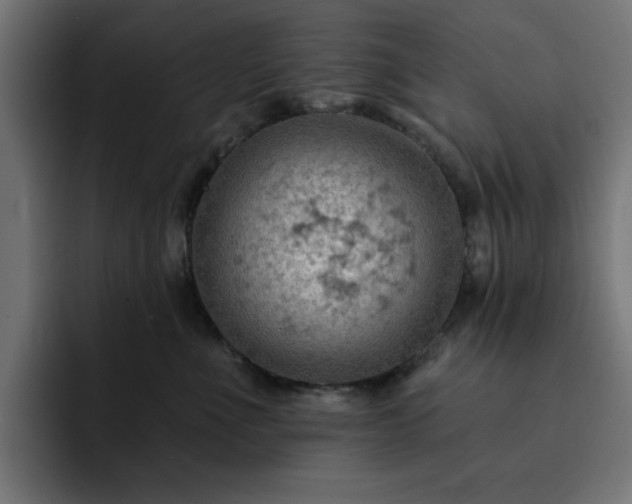 X0000093110523200710031318
