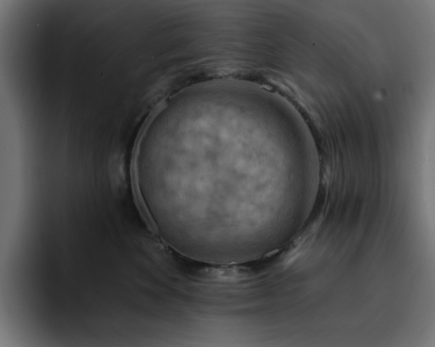 X0000093110524200710031318