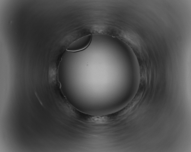 X0000093110526200710031318