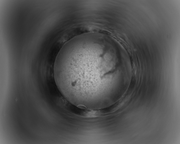 X0000093110527200710031318