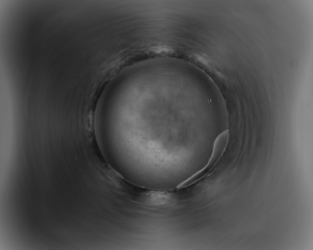 X0000093110528200710031318