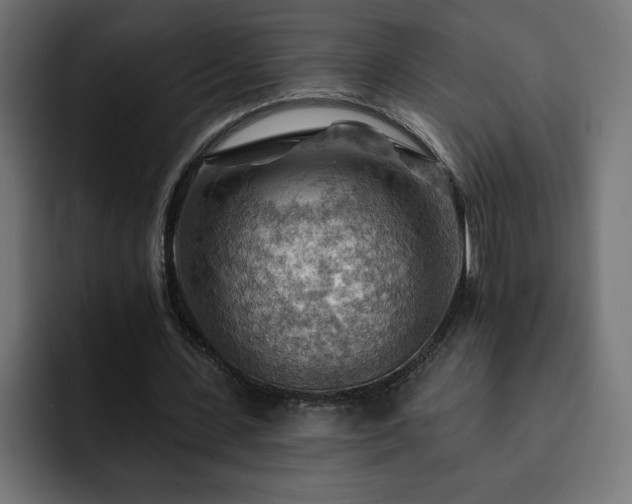X0000093110531200710031318