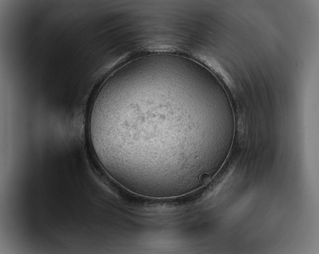 X0000093110533200710031318
