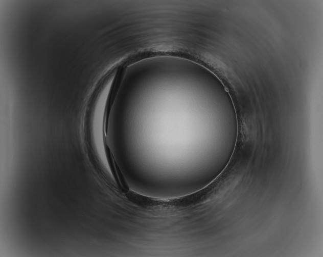 X0000093110535200710031318