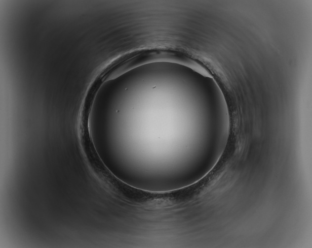 X0000093110536200710031318