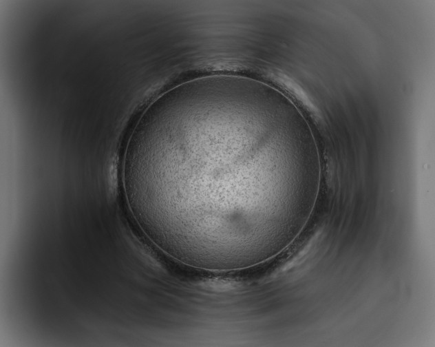 X0000093110537200710031318