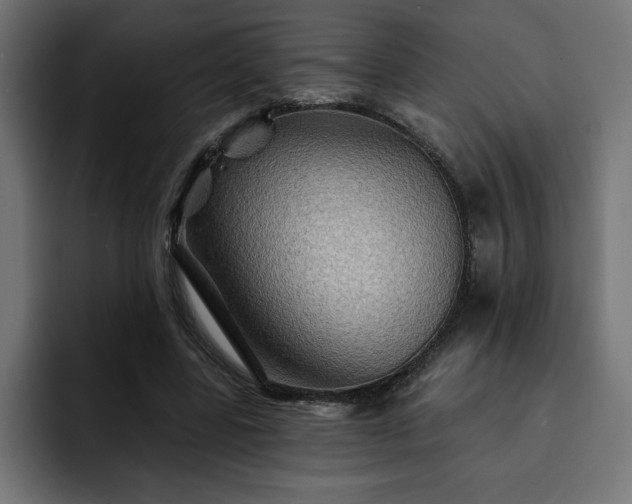 X0000093110539200710031318