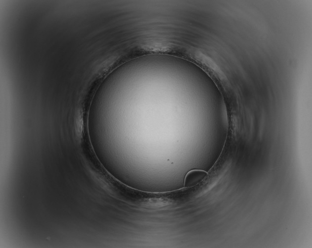 X0000093110541200710031318