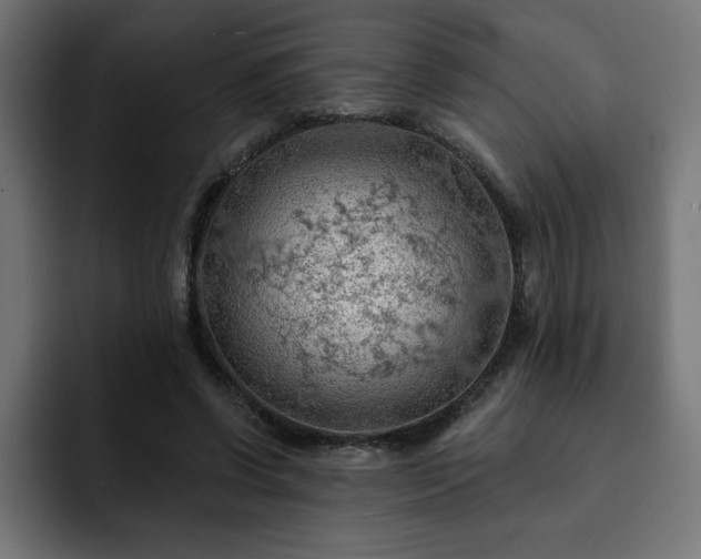 X0000093110542200710031318