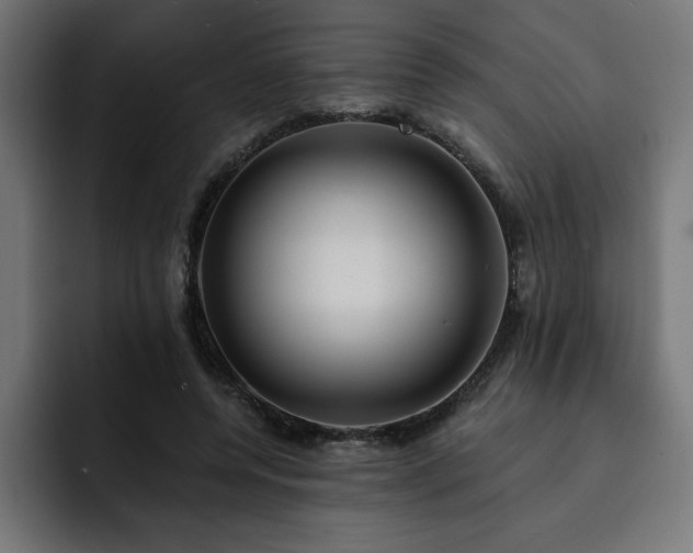 X0000093110544200710031318