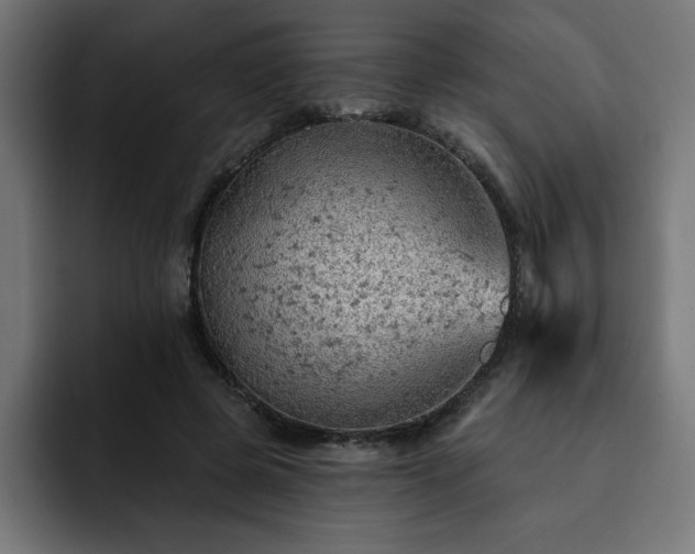 X0000093110545200710031318