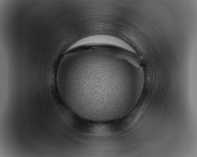 X0000093110547200710031318