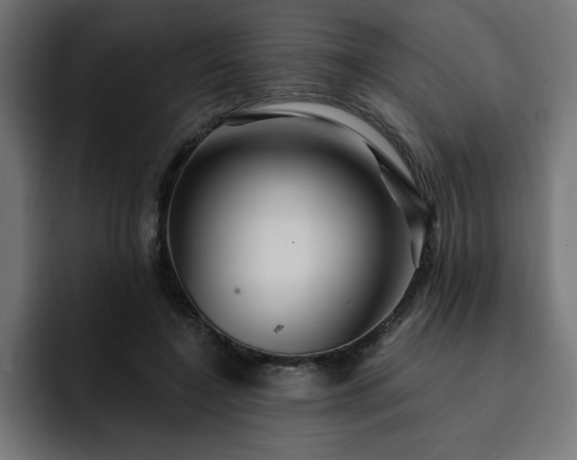 X0000093110548200710031318
