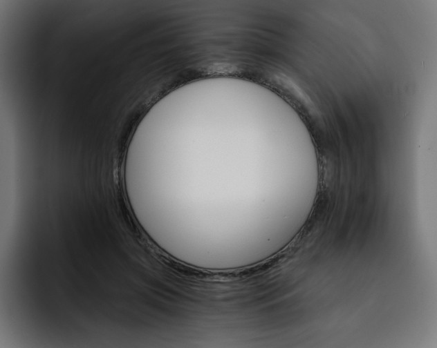 X0000093110549200710031318