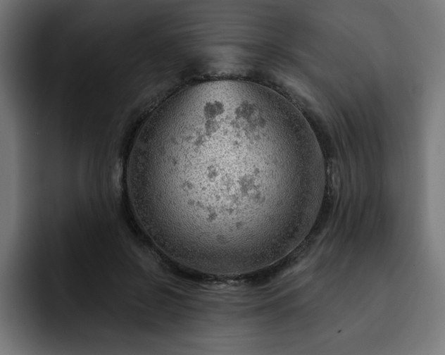 X0000093110550200710031318