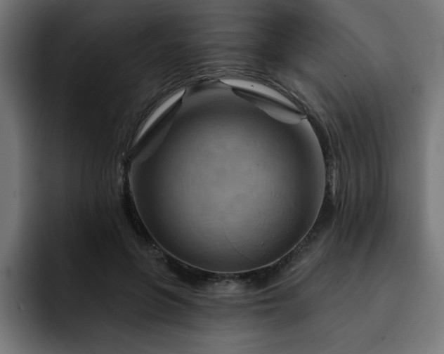 X0000093110551200710031318