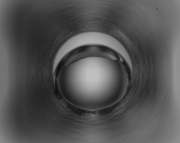 X0000093110552200710031318