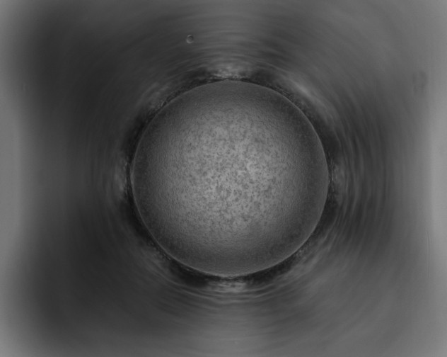 X0000093110554200710031318