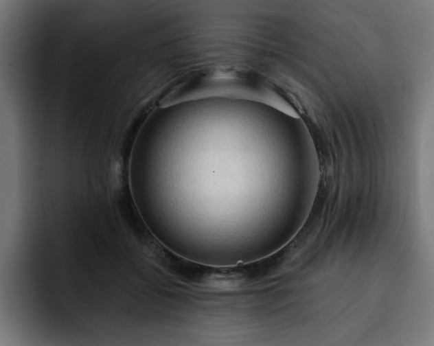 X0000093110556200710031318