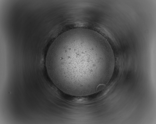 X0000093110557200710031318