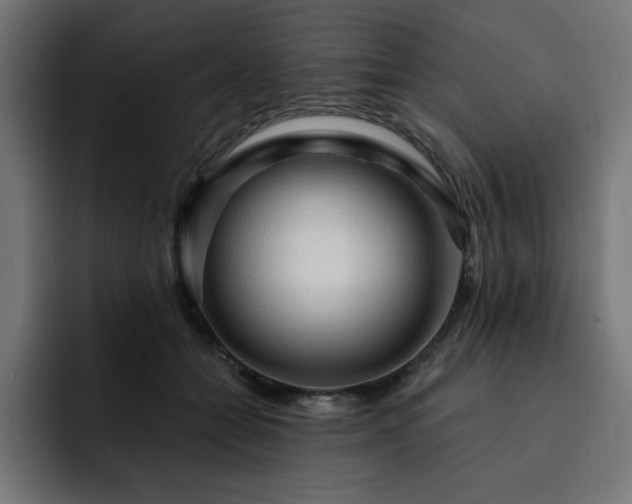 X0000093110558200710031318
