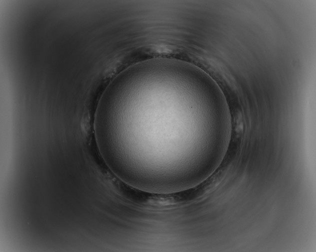 X0000093110559200710031318