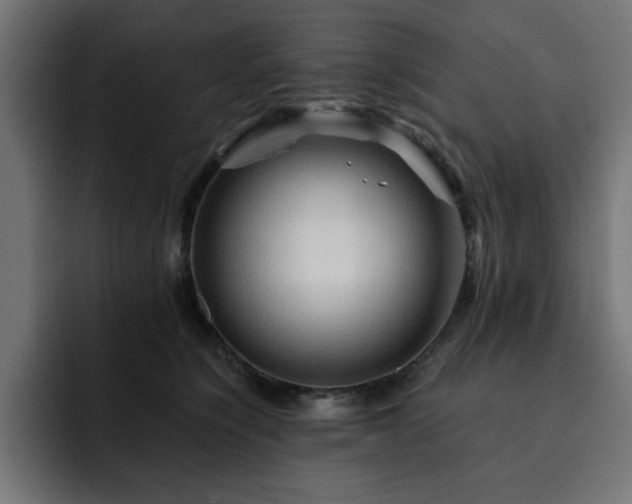 X0000093110564200710031318