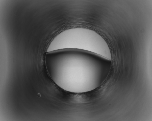 X0000093110566200710031318