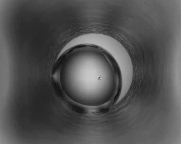 X0000093110568200710031318