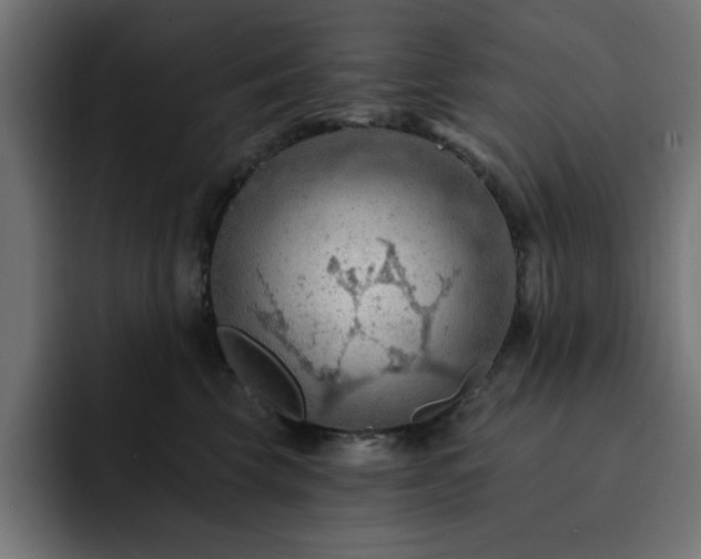 X0000093110569200710031318