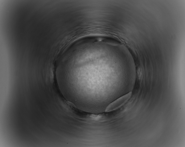 X0000093110570200710031318