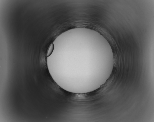X0000093110573200710031318